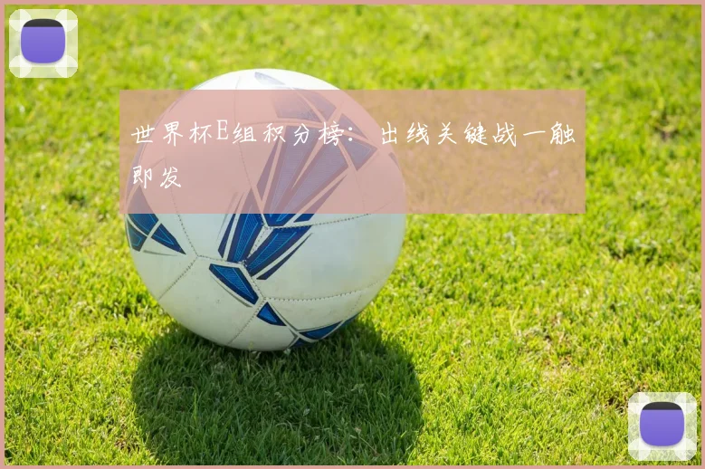 世界杯E组积分榜：出线关键战一触即发