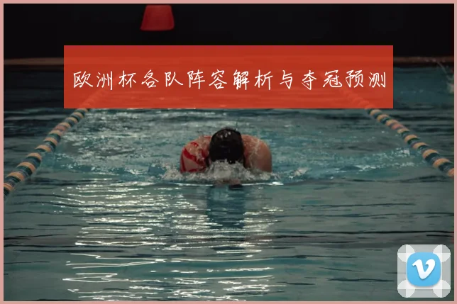 欧洲杯各队阵容解析与夺冠预测