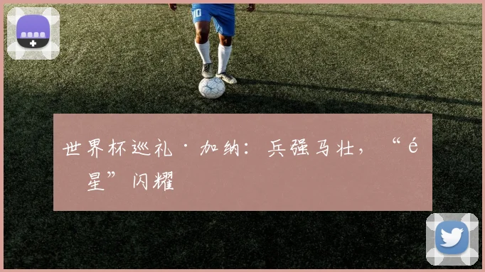 世界杯巡礼·加纳:兵强马壮,“黑星”闪耀