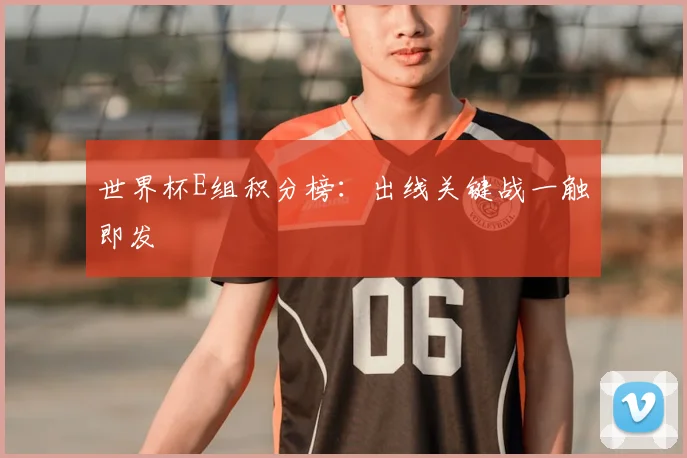 世界杯E组积分榜:出线关键战一触即发