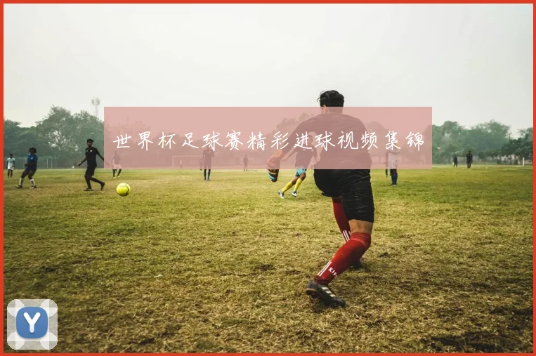 世界杯足球赛精彩进球视频集锦