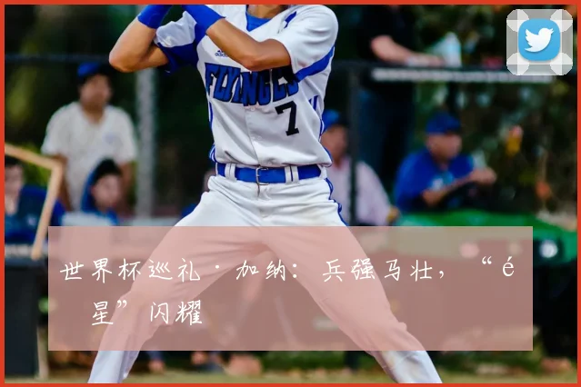 世界杯巡礼·加纳:兵强马壮,“黑星”闪耀
