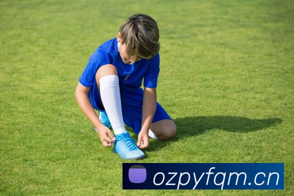 俄罗斯世界杯中国官网平台生态图